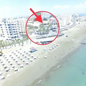 Zorbas No 3 , Larnaca Cyprus